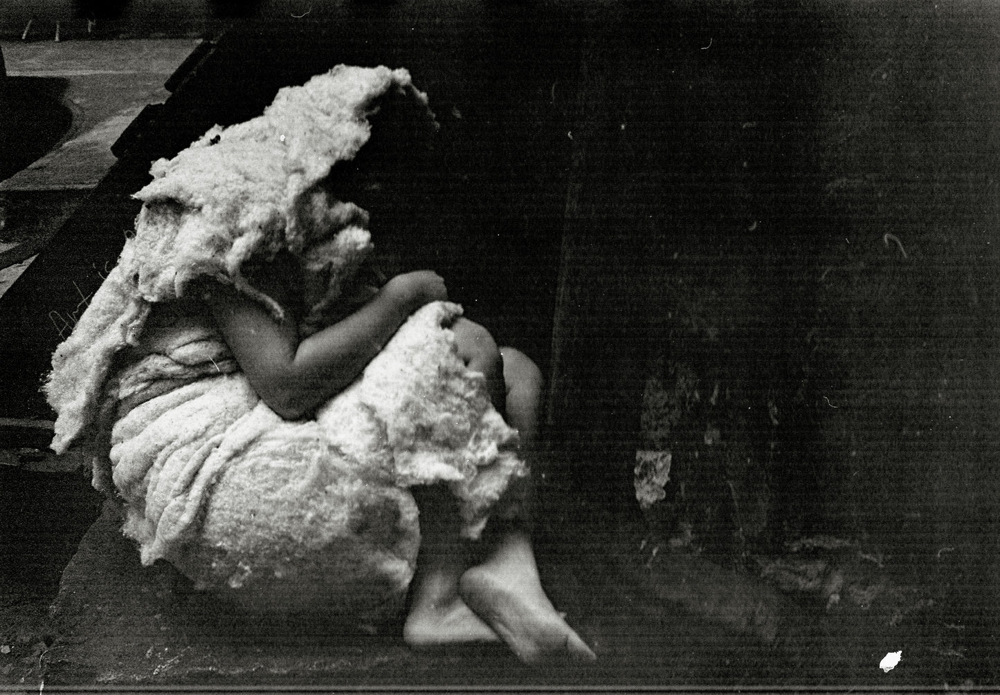 The Lamb 1
