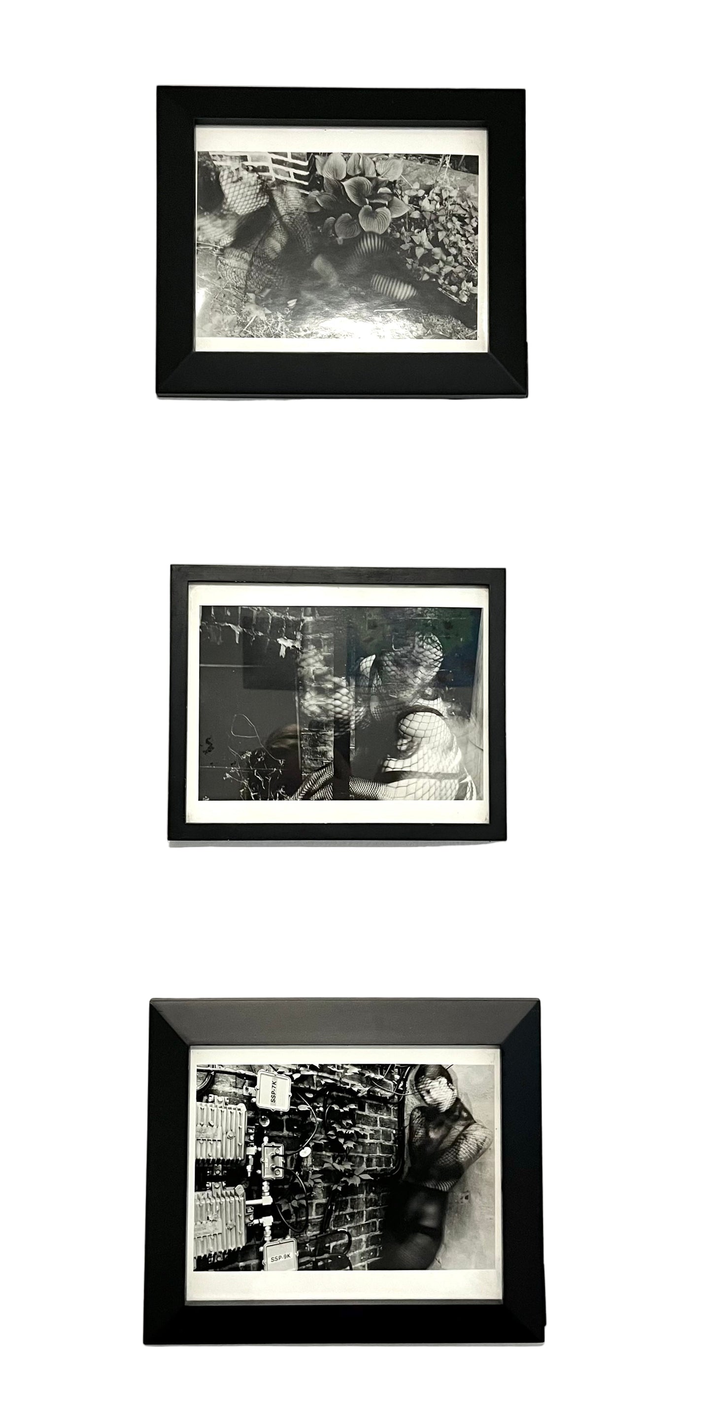 "Snake-wuman" (Tryptich)