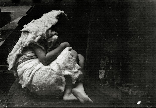 The Lamb 1