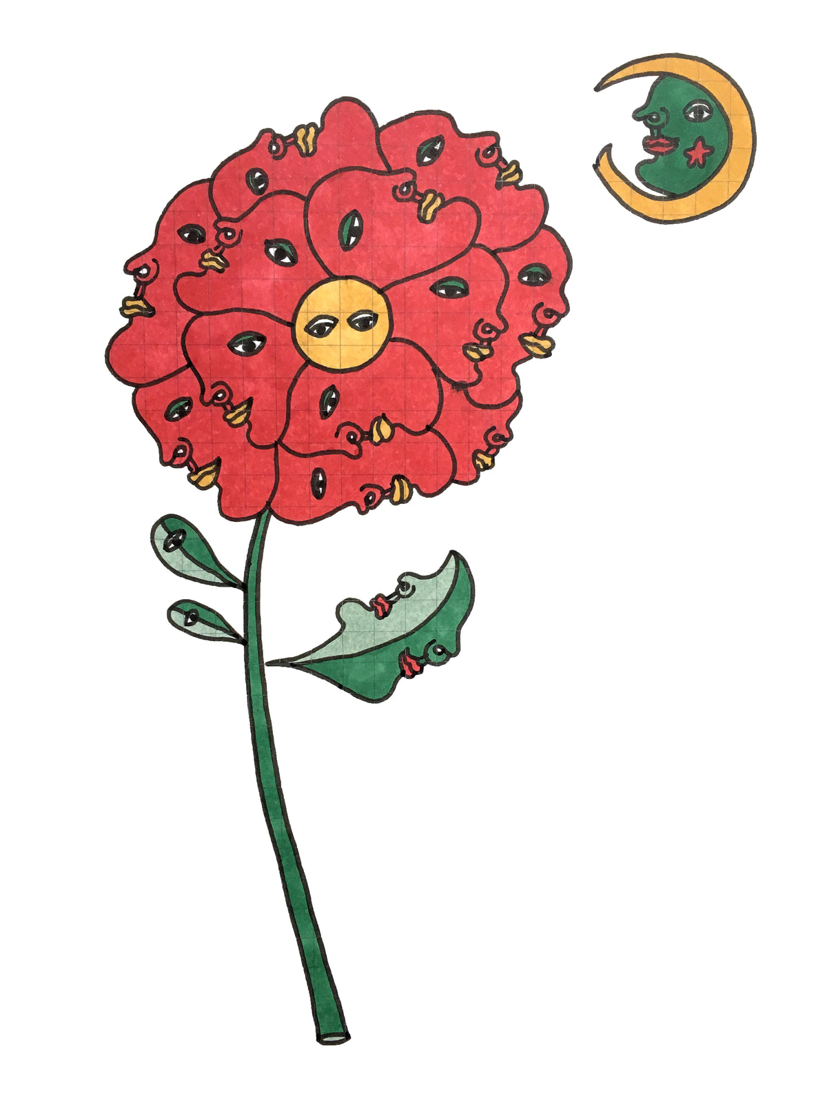 Flora